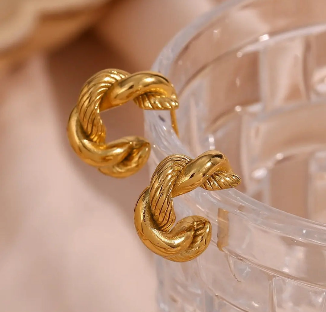 Chunky Twist Hoop Earrings